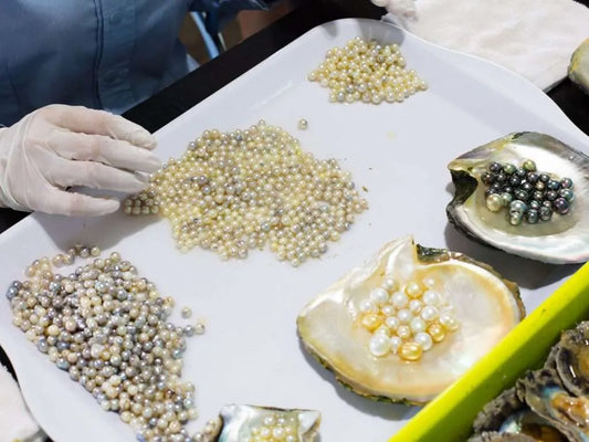 SECTION 2 — Hand-Picked & Crafted